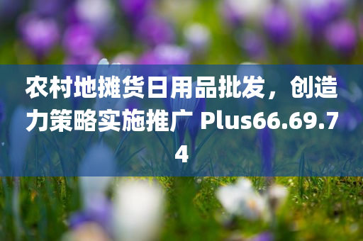 农村地摊货日用品批发，创造力策略实施推广 Plus66.69.74