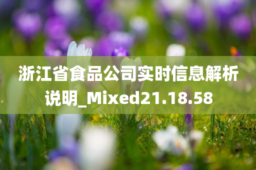 浙江省食品公司实时信息解析说明_Mixed21.18.58