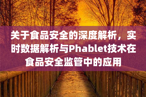 关于食品安全的深度解析，实时数据解析与Phablet技术在食品安全监管中的应用