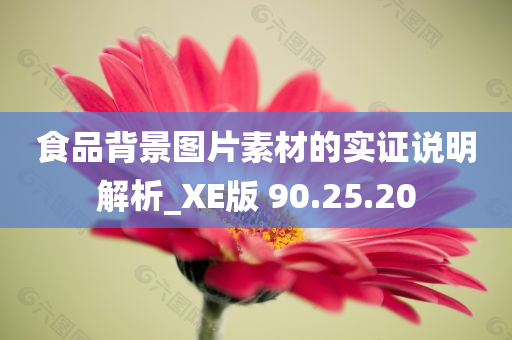 食品背景图片素材的实证说明解析_XE版 90.25.20