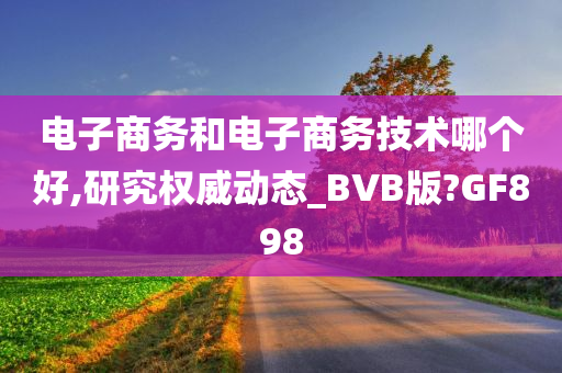 电子商务和电子商务技术哪个好,研究权威动态_BVB版?GF898