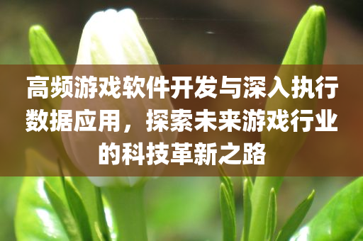 高频游戏软件开发与深入执行数据应用，探索未来游戏行业的科技革新之路