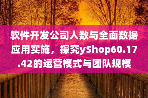 软件开发公司人数与全面数据应用实施，探究yShop60.17.42的运营模式与团队规模