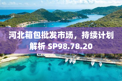 河北箱包批发市场，持续计划解析 SP98.78.20