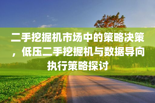 二手挖掘机市场中的策略决策，低压二手挖掘机与数据导向执行策略探讨