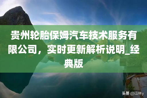 贵州轮胎保姆汽车技术服务有限公司，实时更新解析说明_经典版