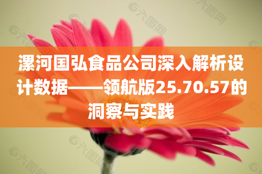 漯河国弘食品公司深入解析设计数据——领航版25.70.57的洞察与实践