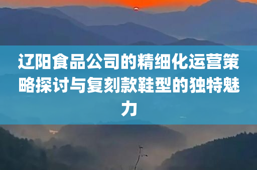 辽阳食品公司的精细化运营策略探讨与复刻款鞋型的独特魅力