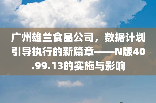 广州雄兰食品公司，数据计划引导执行的新篇章——N版40.99.13的实施与影响