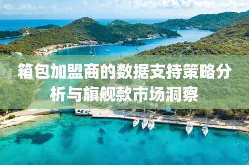 箱包加盟商的数据支持策略分析与旗舰款市场洞察