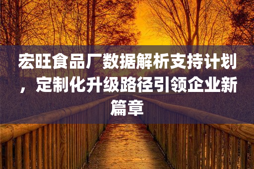 宏旺食品厂数据解析支持计划，定制化升级路径引领企业新篇章