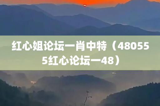 红心姐论坛一肖中特（480555红心论坛一48）