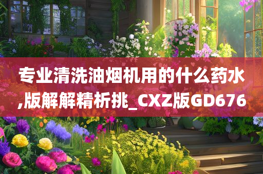 专业清洗油烟机用的什么药水,版解解精析挑_CXZ版GD676