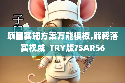 项目实施方案万能模板,解释落实权威_TRY版?SAR56