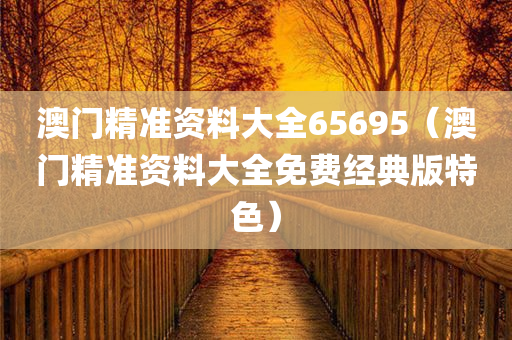 澳门精准资料大全65695（澳门精准资料大全免费经典版特色）