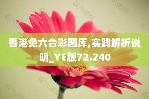 香港免六台彩图库,实践解析说明_YE版72.240