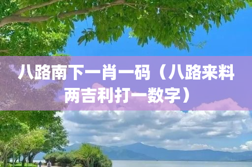 八路南下一肖一码（八路来料两吉利打一数字）