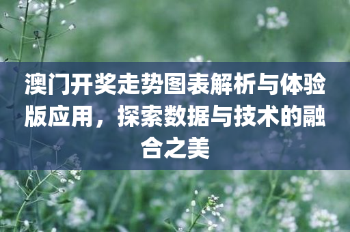 澳门开奖走势图表解析与体验版应用，探索数据与技术的融合之美