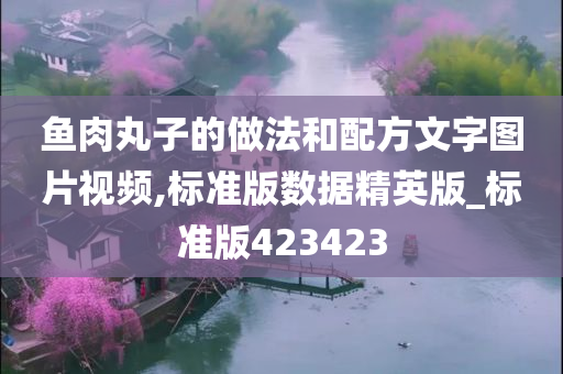 鱼肉丸子的做法和配方文字图片视频,标准版数据精英版_标准版423423