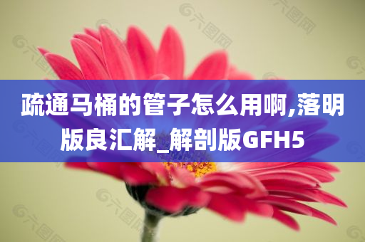 疏通马桶的管子怎么用啊,落明版良汇解_解剖版GFH5