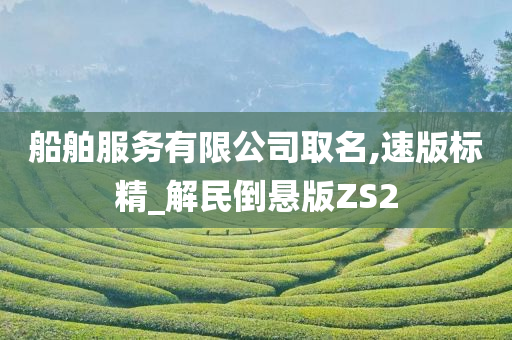 船舶服务有限公司取名,速版标精_解民倒悬版ZS2