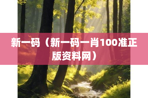 新一码（新一码一肖100准正版资料网）