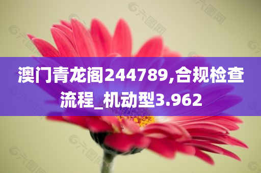 澳门青龙阁244789,合规检查流程_机动型3.962