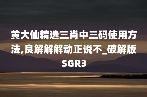 黄大仙精选三肖中三码使用方法,良解解解动正说不_破解版SGR3