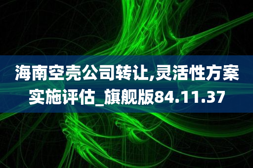 海南空壳公司转让,灵活性方案实施评估_旗舰版84.11.37