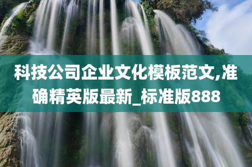 科技公司企业文化模板范文,准确精英版最新_标准版888