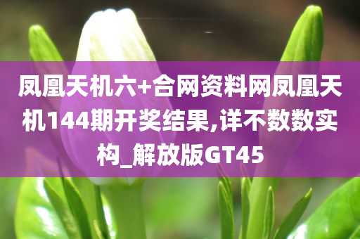 凤凰天机六+合网资料网凤凰天机144期开奖结果,详不数数实构_解放版GT45