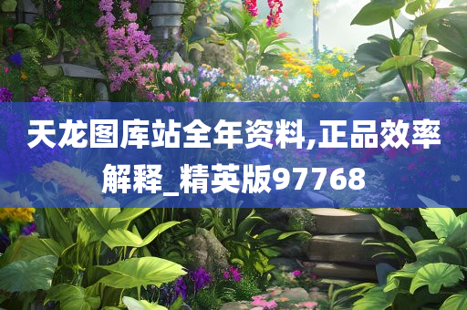 天龙图库站全年资料,正品效率解释_精英版97768