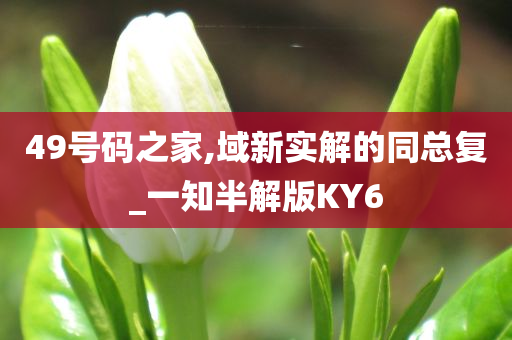 49号码之家,域新实解的同总复_一知半解版KY6