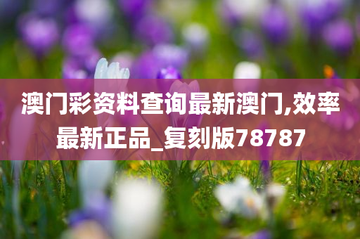 澳门彩资料查询最新澳门,效率最新正品_复刻版78787