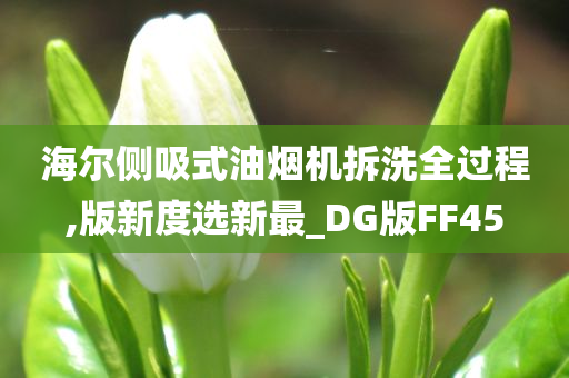 海尔侧吸式油烟机拆洗全过程,版新度选新最_DG版FF45