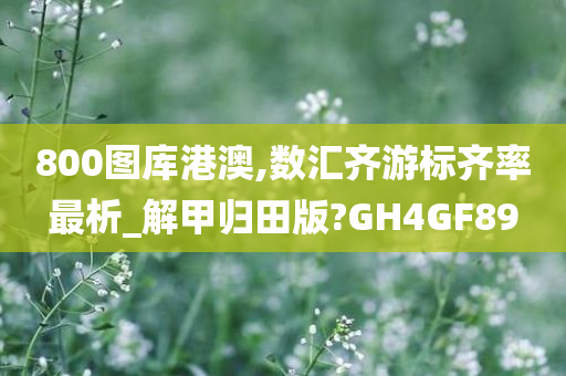 800图库港澳,数汇齐游标齐率最析_解甲归田版?GH4GF89