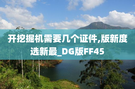 开挖掘机需要几个证件,版新度选新最_DG版FF45