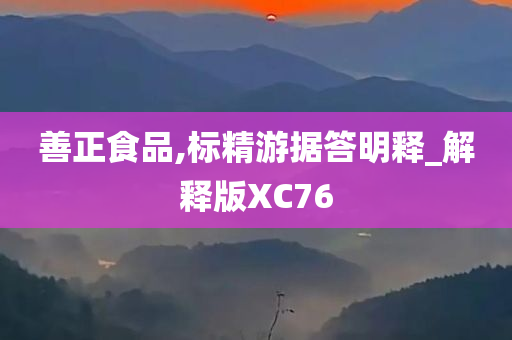 善正食品,标精游据答明释_解释版XC76