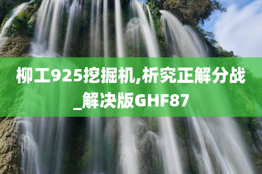 柳工925挖掘机,析究正解分战_解决版GHF87