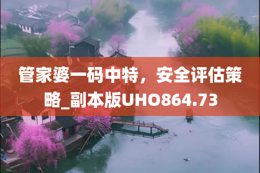 管家婆一码中特，安全评估策略_副本版UHO864.73