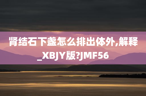 肾结石下盏怎么排出体外,解释_XBJY版?JMF56