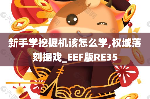 新手学挖掘机该怎么学,权域落刻据戏_EEF版RE35