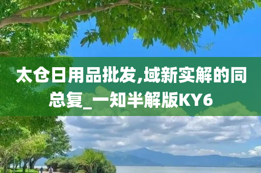 太仓日用品批发,域新实解的同总复_一知半解版KY6