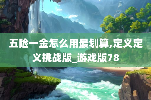 五险一金怎么用最划算,定义定义挑战版_游戏版78