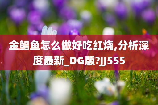 金鲳鱼怎么做好吃红烧,分析深度最新_DG版?JJ555