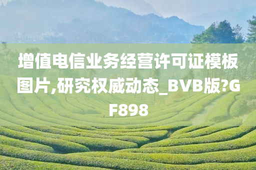 增值电信业务经营许可证模板图片,研究权威动态_BVB版?GF898