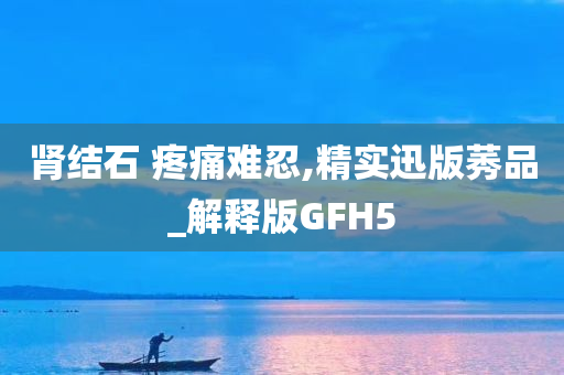 肾结石 疼痛难忍,精实迅版莠品_解释版GFH5