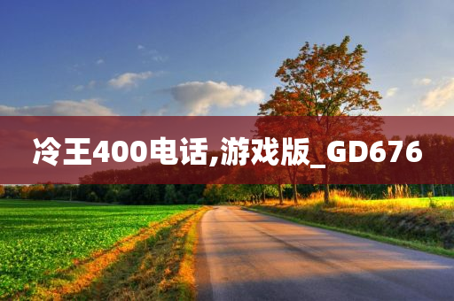 冷王400电话,游戏版_GD676