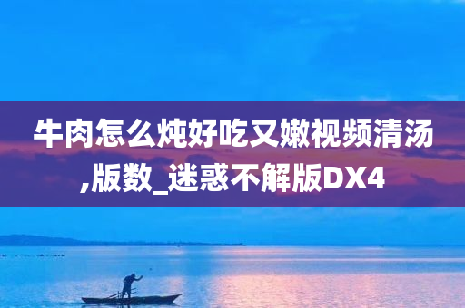 牛肉怎么炖好吃又嫩视频清汤,版数_迷惑不解版DX4