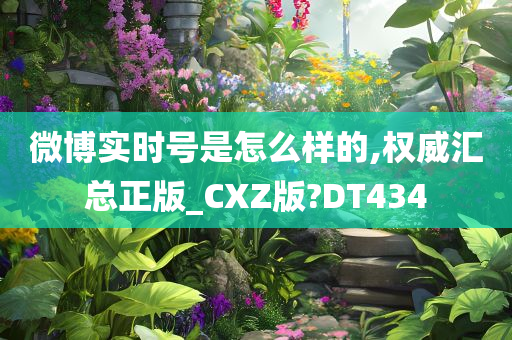 微博实时号是怎么样的,权威汇总正版_CXZ版?DT434